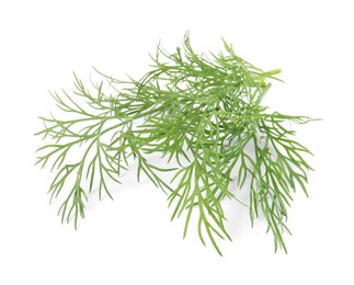 Sprigs of fresh dill isolated on white