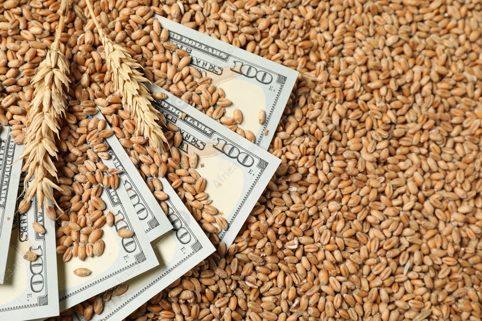 Photo of Dollar banknotes and wheat ears on grains, above view. Agricultural business