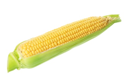 Photo of Ripe raw corn cob with husk isolated on white