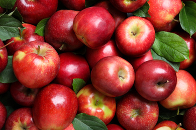 Pile of tasty red apples with leaves as background, top view