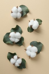 Photo of Cotton flowers and eucalyptus leaves on beige background, flat lay