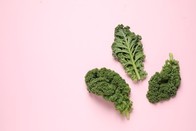 Fresh kale leaves on pink background, flat lay. Space for text