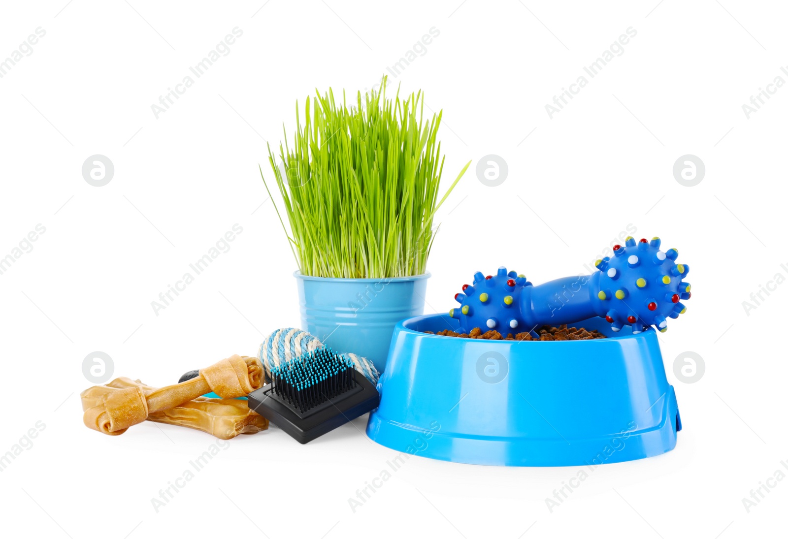 Photo of Various pet toys, bowl of food and wheatgrass on white background