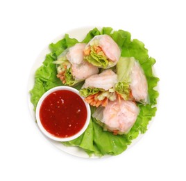 Photo of Tasty spring rolls served with lettuce and sauce on white background, top view