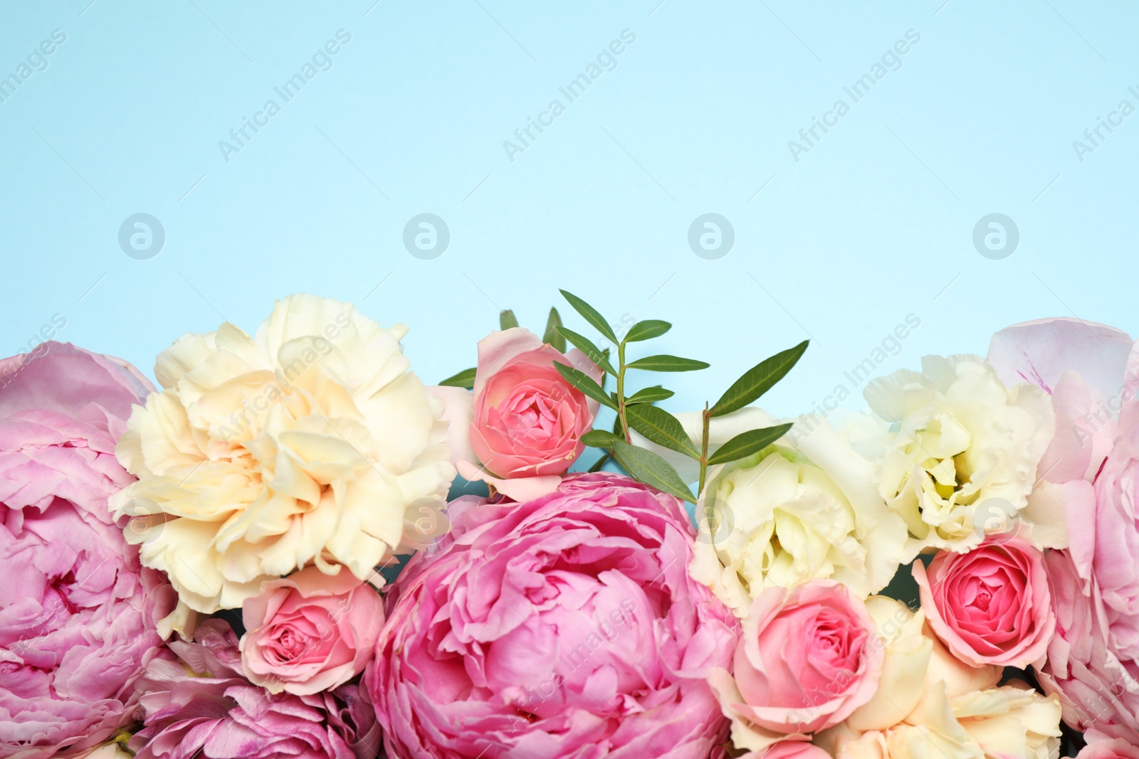 Photo of Flat lay composition with beautiful flowers and space for text on light blue background. Floral card design