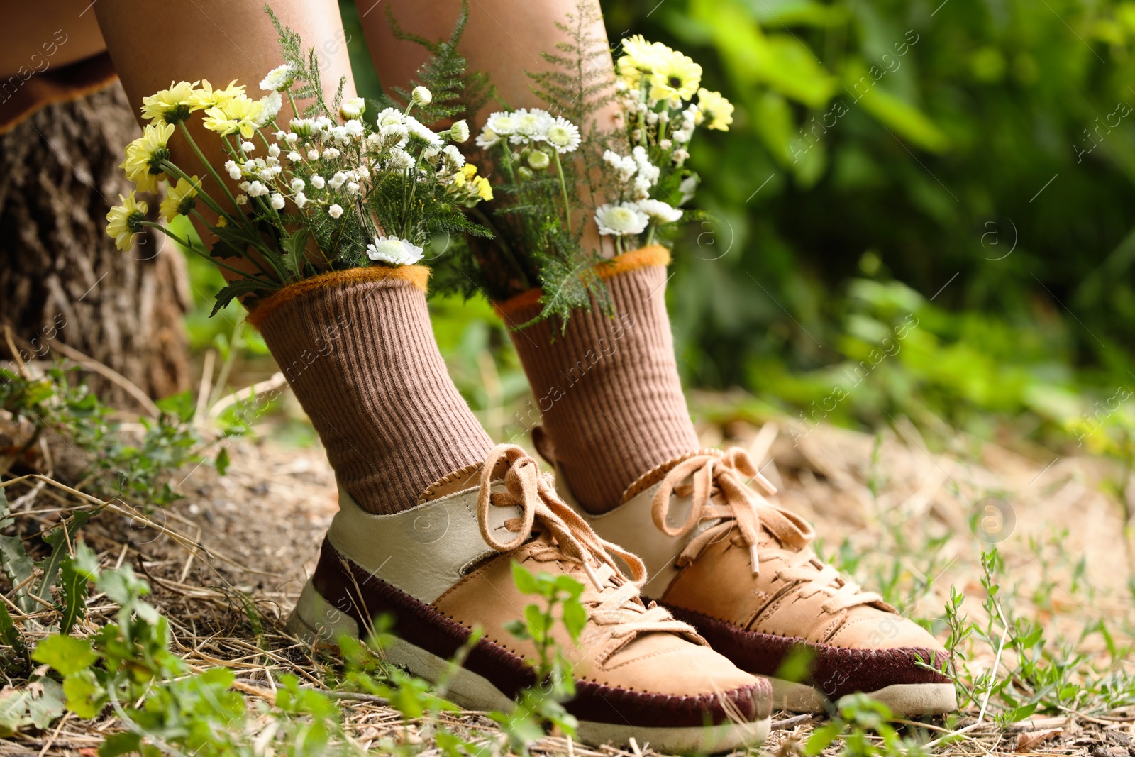 Photo of Woman sitting on stump with flowers in socks outdoors, closeup