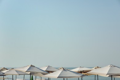 Photo of Many beach umbrellas at resort on sunny day