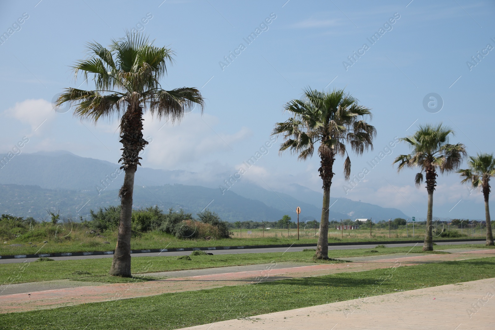 Photo of Beautiful view of tropical palm trees on sunny day