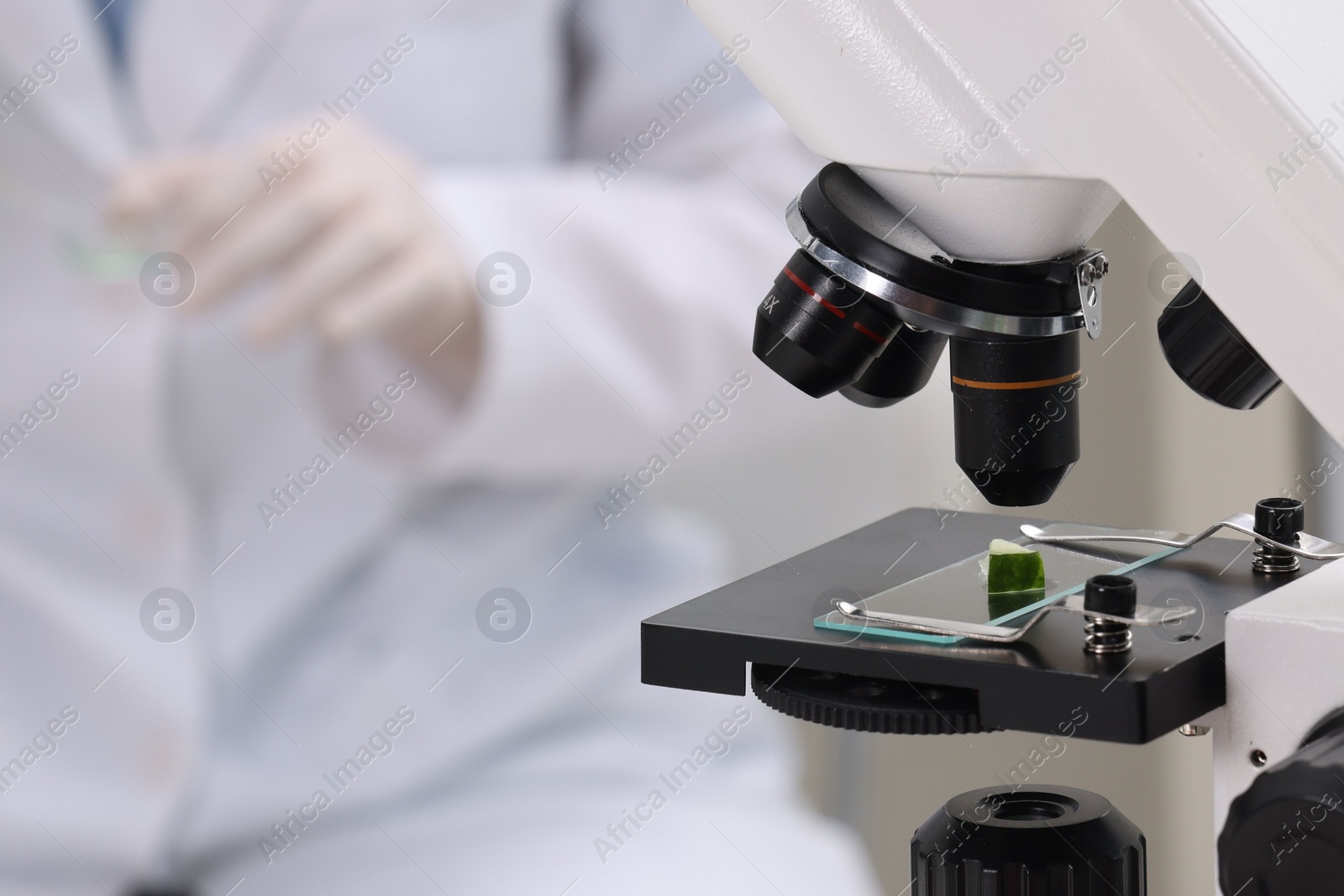 Photo of Quality control. Food inspector working in laboratory, focus on microscope