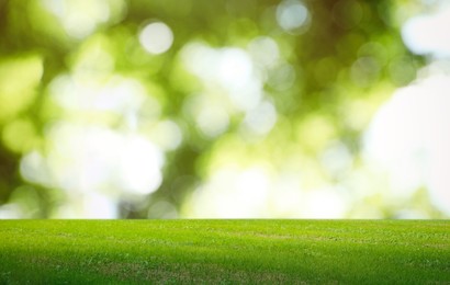 Image of Beautiful lawn with green grass on sunny day. Bokeh effect