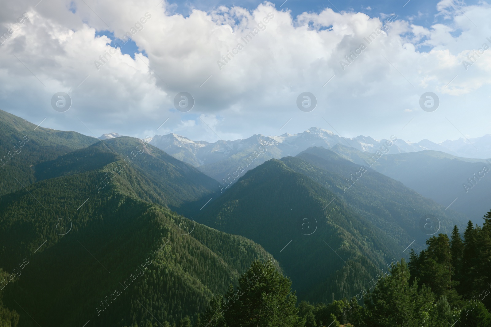 Photo of Aerial view of beautiful landscape with mountain forest on sunny day