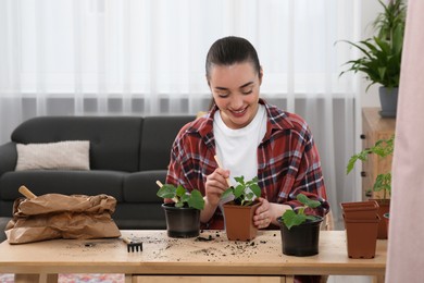 Happy woman planting seedlings into pot at wooden table in room