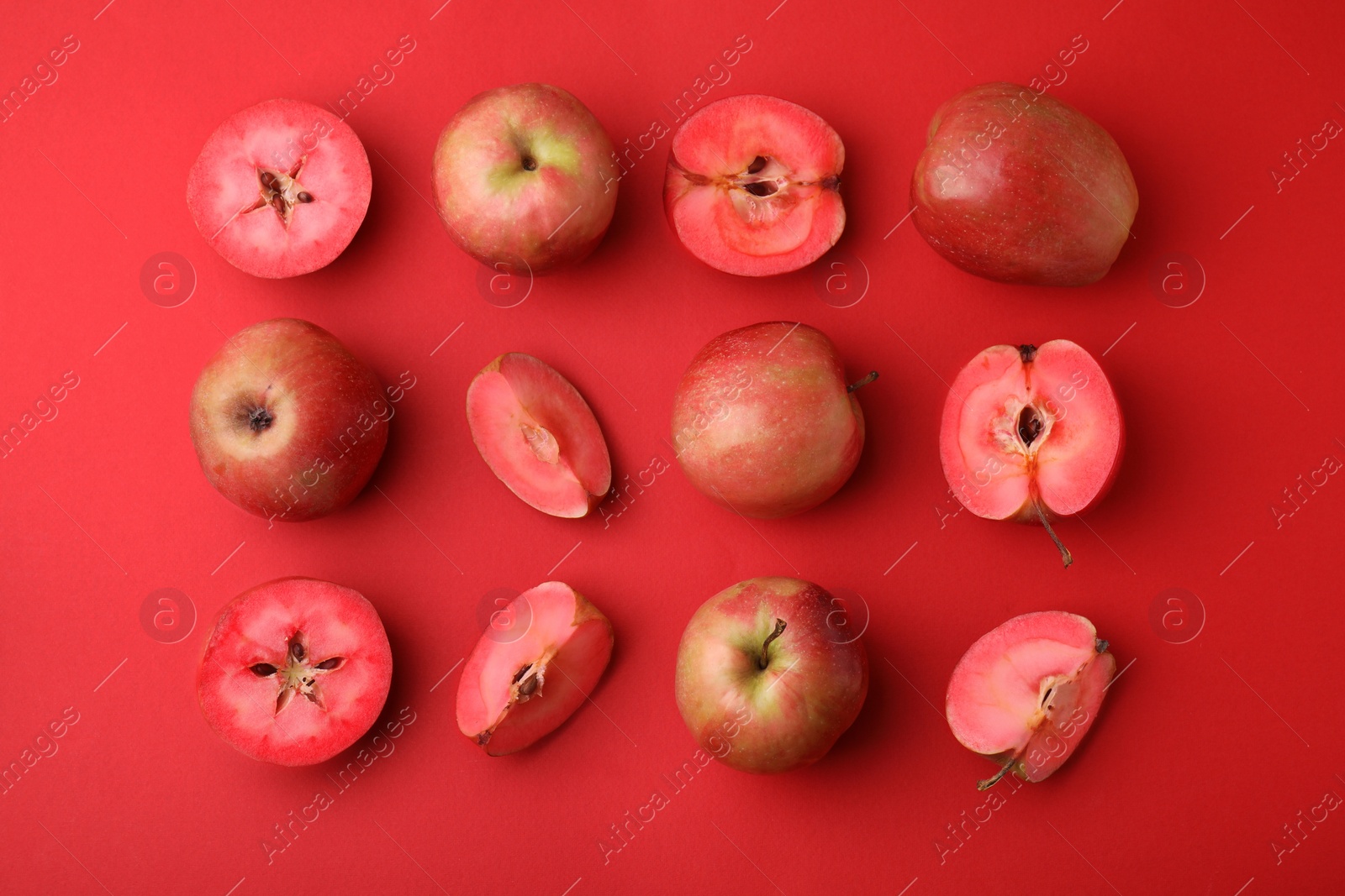 Photo of Tasty apples with red pulp on color background, flat lay