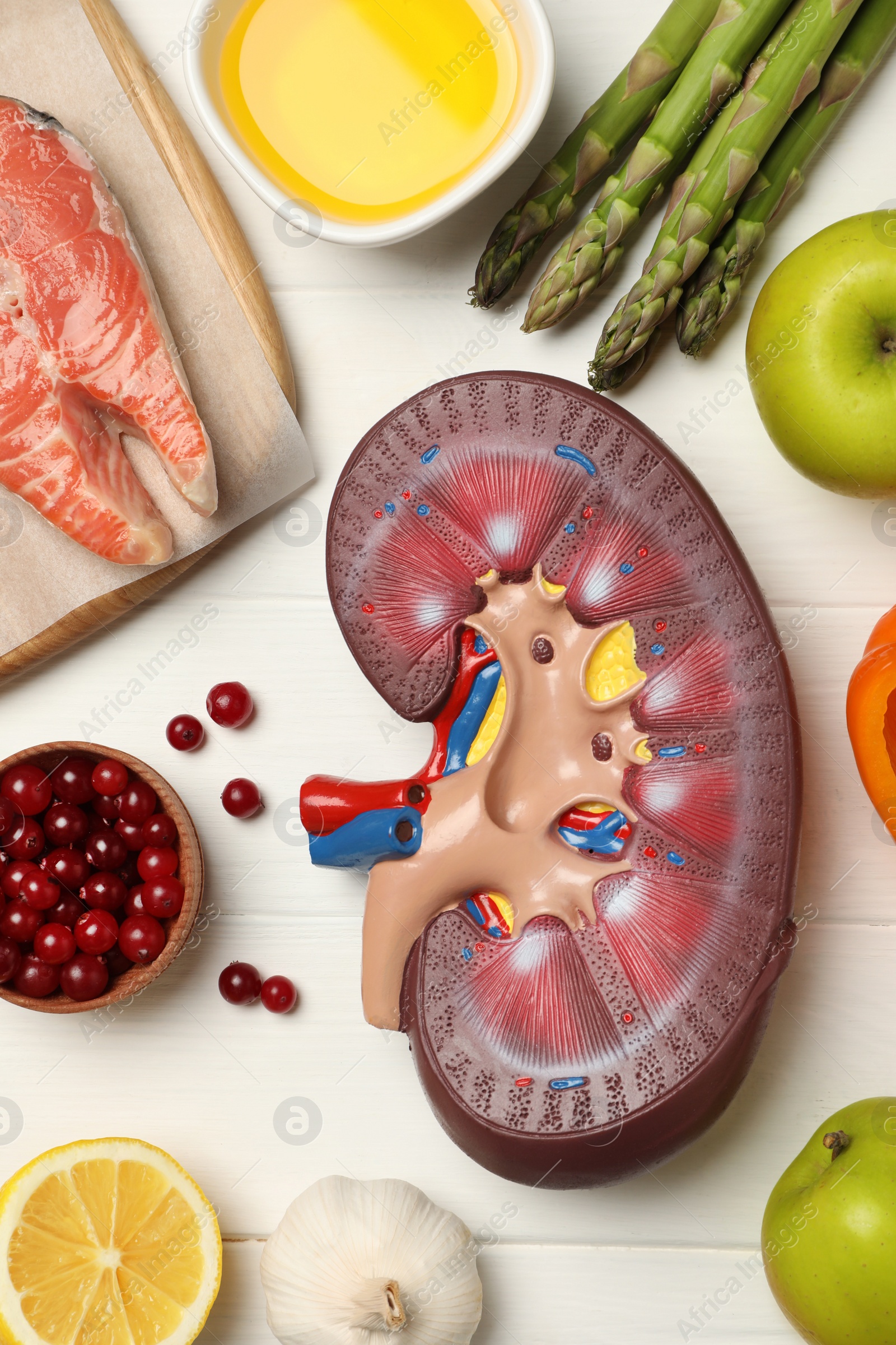 Photo of Flat lay composition with kidney model and different products on white wooden table