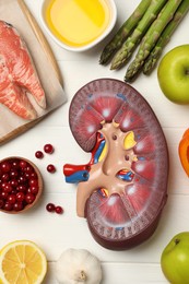 Photo of Flat lay composition with kidney model and different products on white wooden table