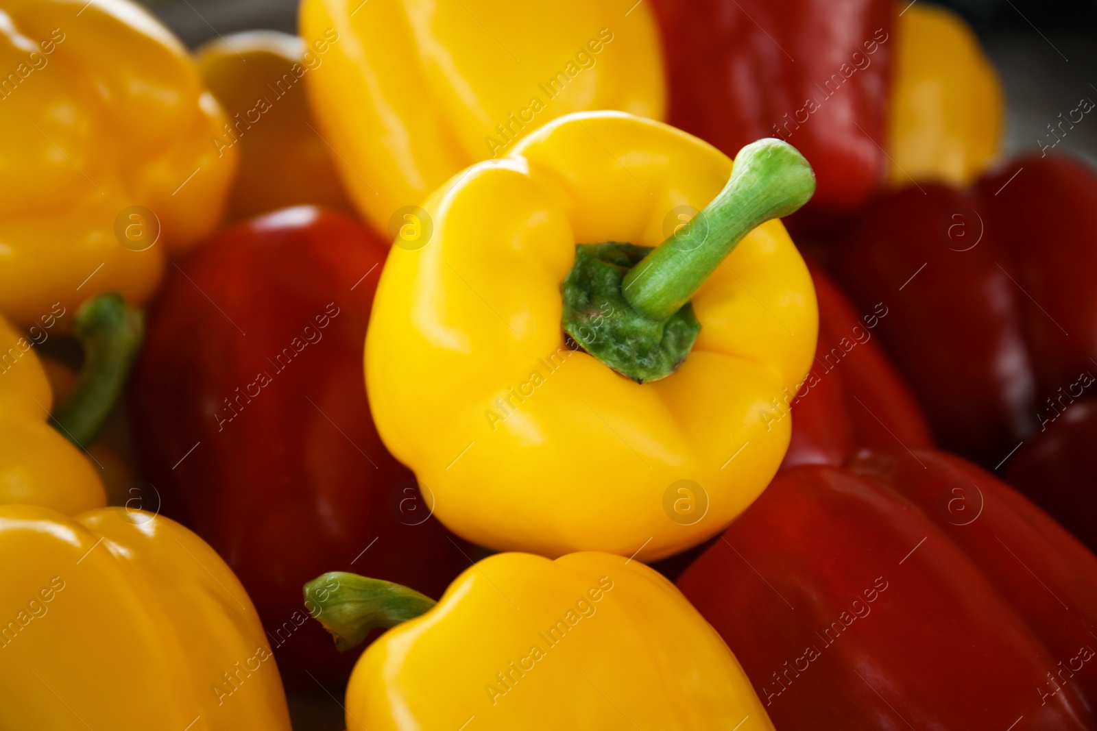 Photo of Closeup view of fresh ripe colorful bell peppers as background