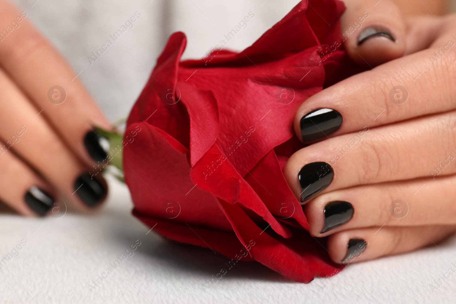 Photo of Woman with black manicure holding rose at table, closeup. Nail polish trends