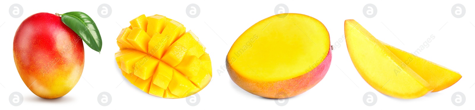 Image of Mango fruits cut in different ways and one whole isolated on white