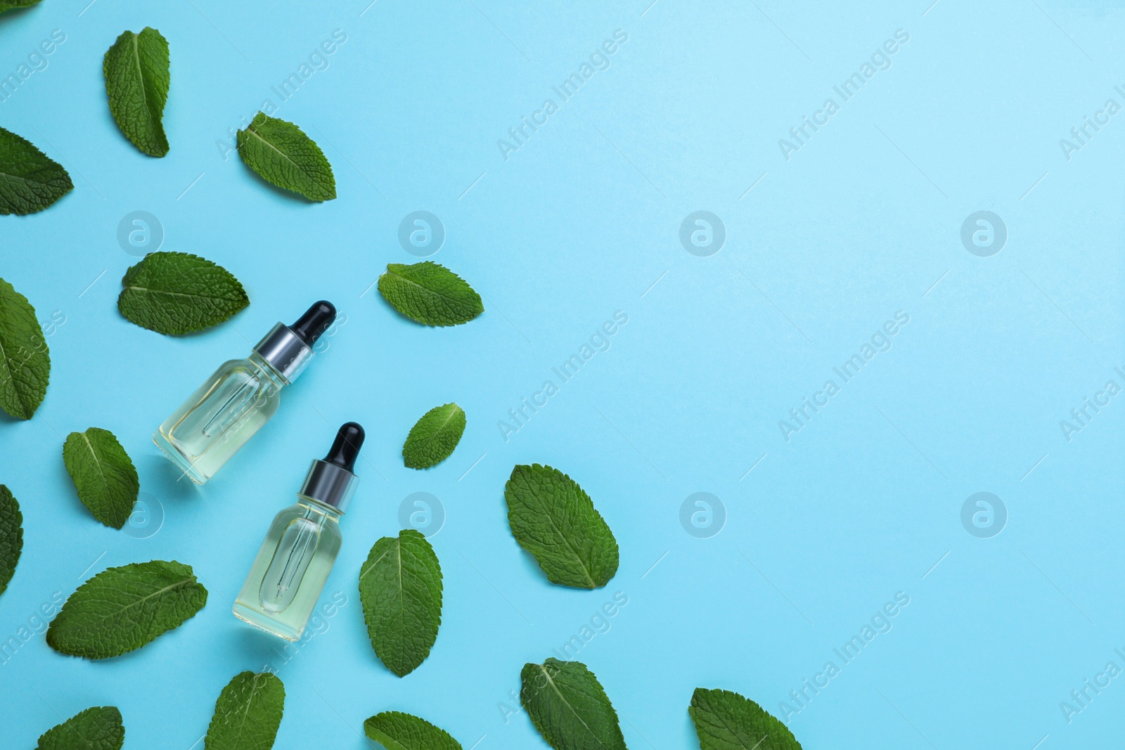 Photo of Bottles of essential oil and mint on light blue background, flat lay. Space for text