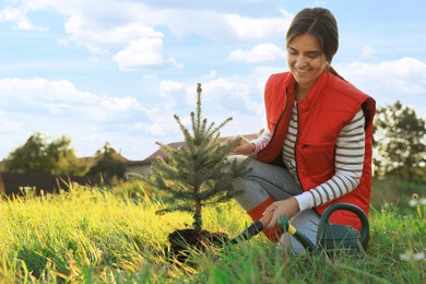 Photo of Young woman planting conifer tree in countryside on sunny day
