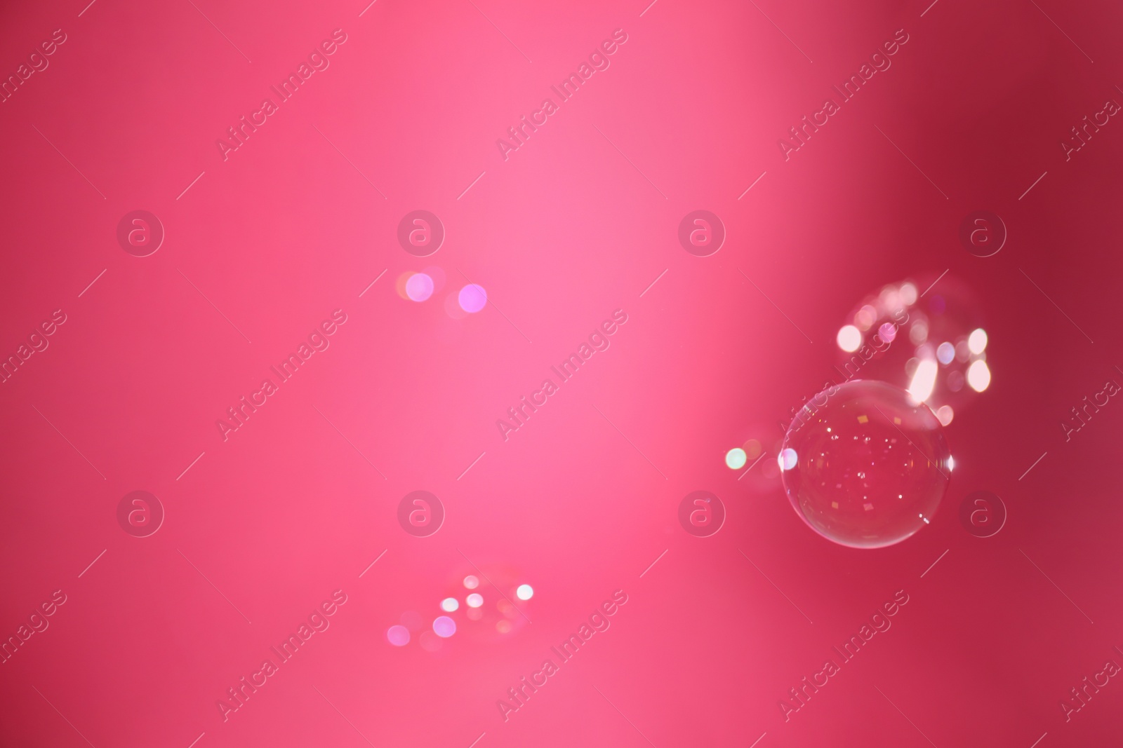 Photo of Beautiful translucent soap bubbles on pink background, space for text