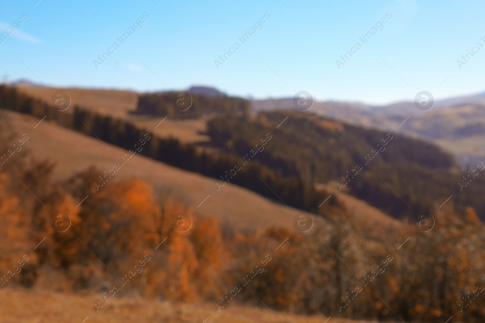 Photo of Picturesque landscape with forest and mountains, blurred view