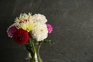 Photo of Bouquet of beautiful Dahlia flowers in vase near grey wall. Space for text