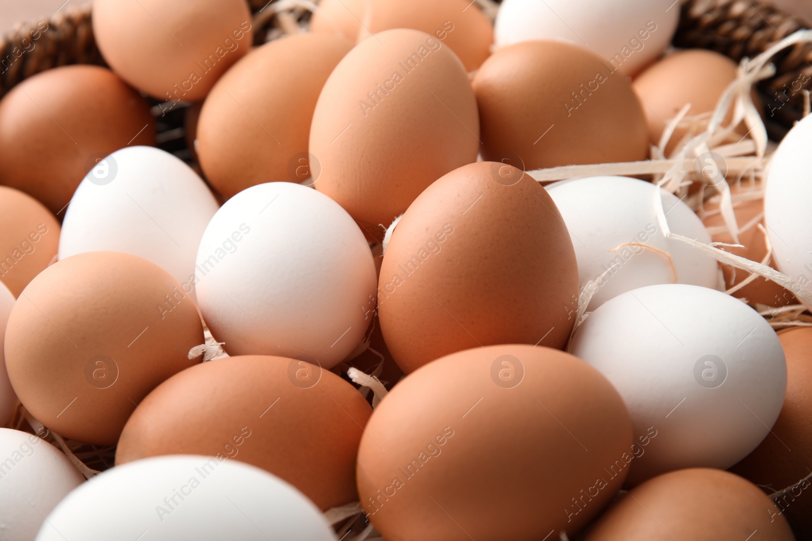 Photo of Pile of raw chicken eggs in straw, closeup