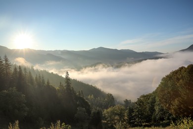 Photo of Beautiful view of mountains covered with fog at sunrise