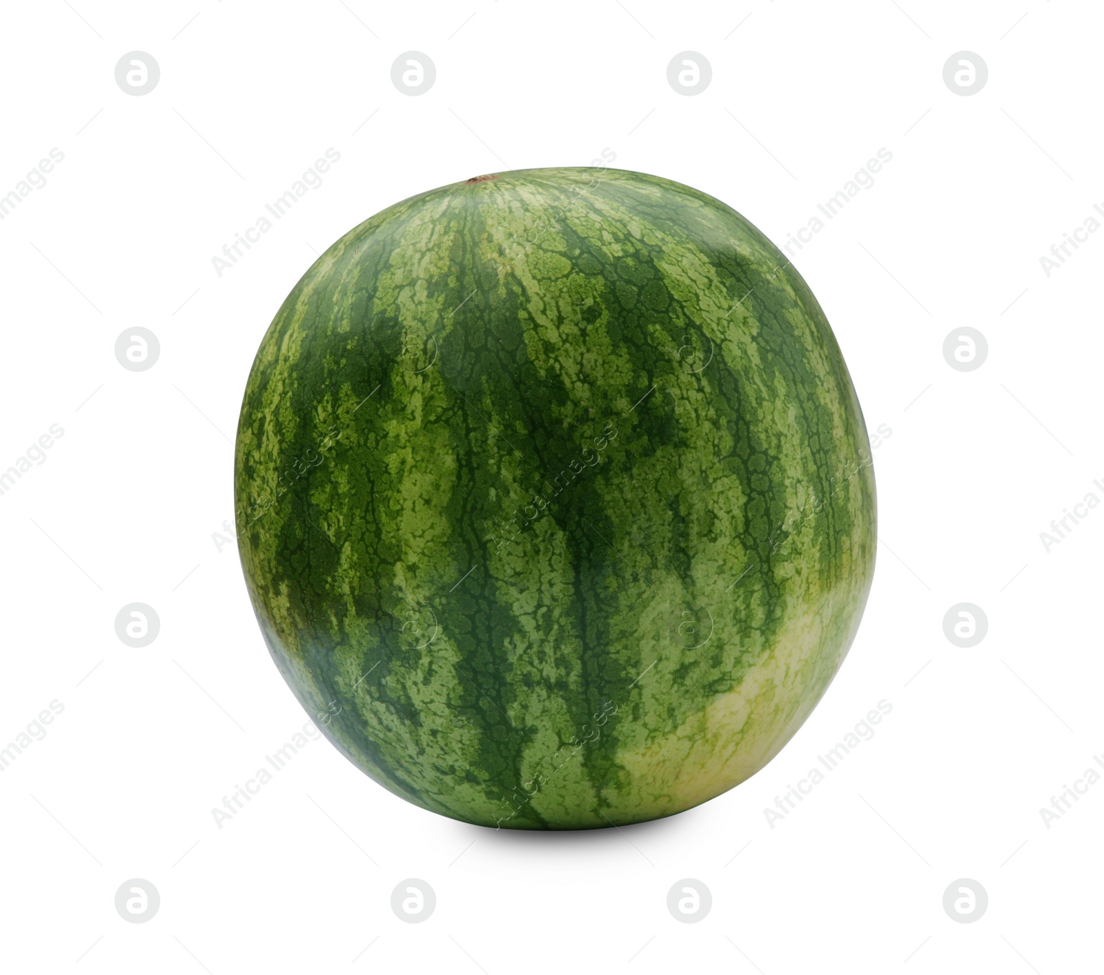 Photo of One whole ripe watermelon isolated on white