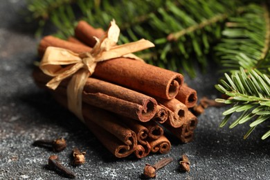 Different spices. Aromatic cinnamon sticks, clove seeds and fir branches on dark gray textured table, closeup