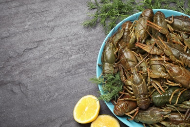 Photo of Fresh raw crayfishes with dill and lemon on black table, flat lay. Space for text