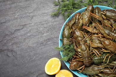 Fresh raw crayfishes with dill and lemon on black table, flat lay. Space for text