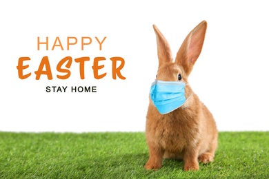 Text Happy Easter Stay Home and cute bunny in protective mask on green grass. Holiday during Covid-19 pandemic