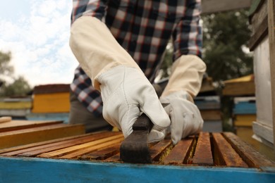 Beekeeper taking frame from hive at apiary, closeup. Harvesting honey