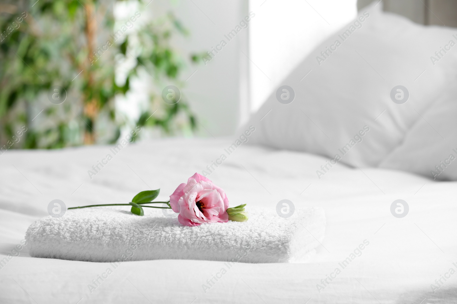 Photo of White towel with beautiful flower on bed indoors, space for text