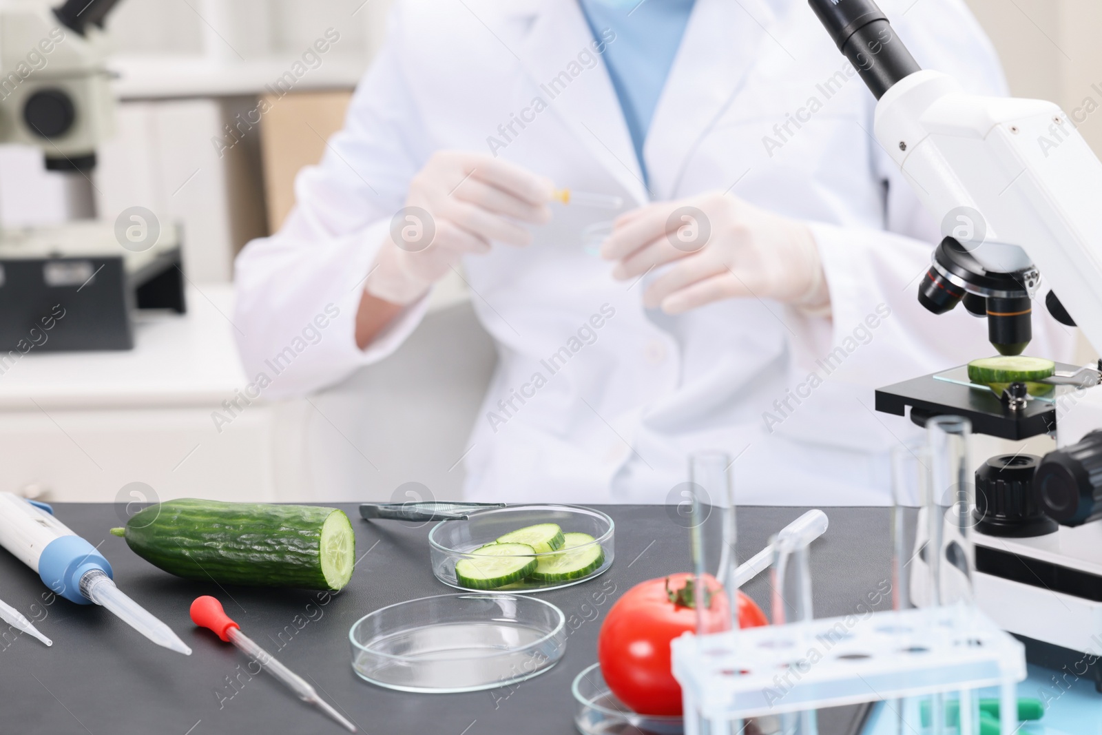 Photo of Quality control. Food inspector working in laboratory, closeup