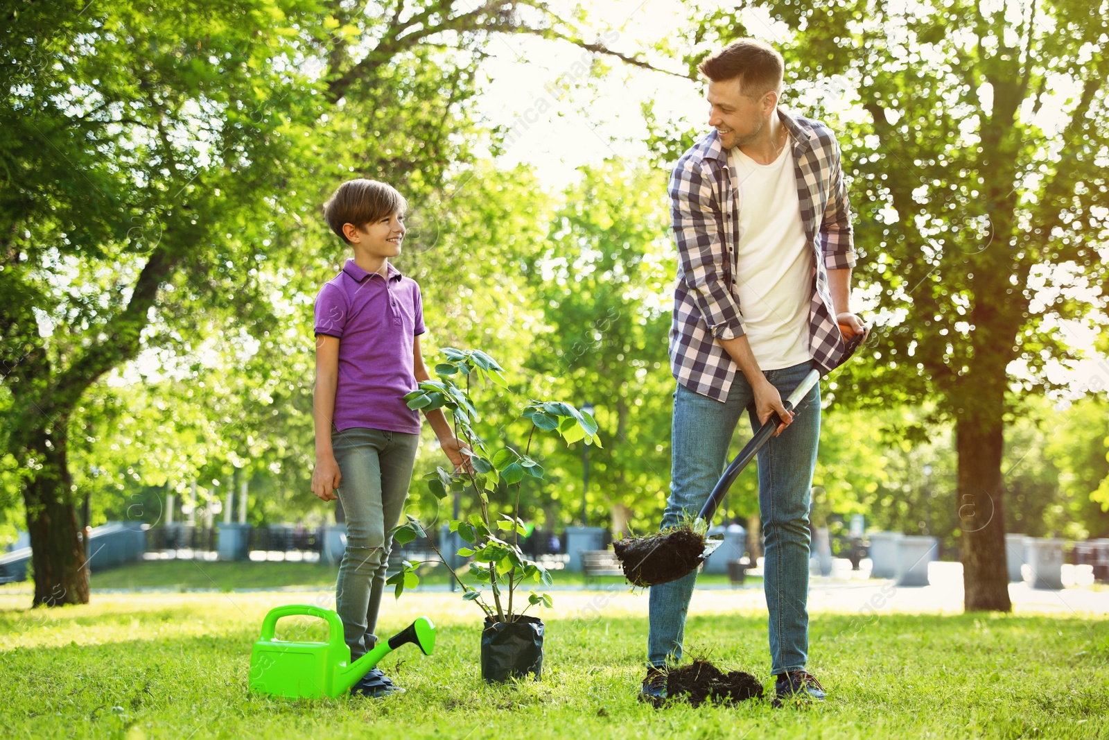 Photo of Dad and son planting tree together in park on sunny day