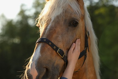 Photo of Woman with adorable horse outdoors, closeup. Lovely domesticated pet