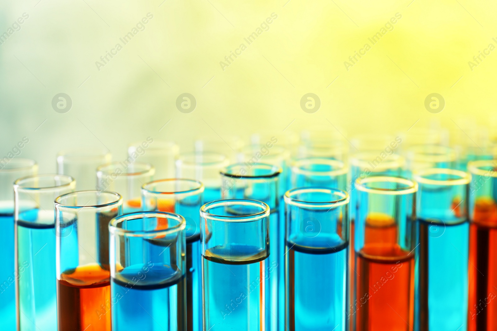 Photo of Closeup view of many test tubes with different liquid samples, color tone effect