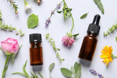 Bottles of essential oils, different herbs and flowers on white background, flat lay