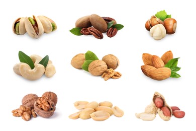 Image of Many different nuts isolated on white, set