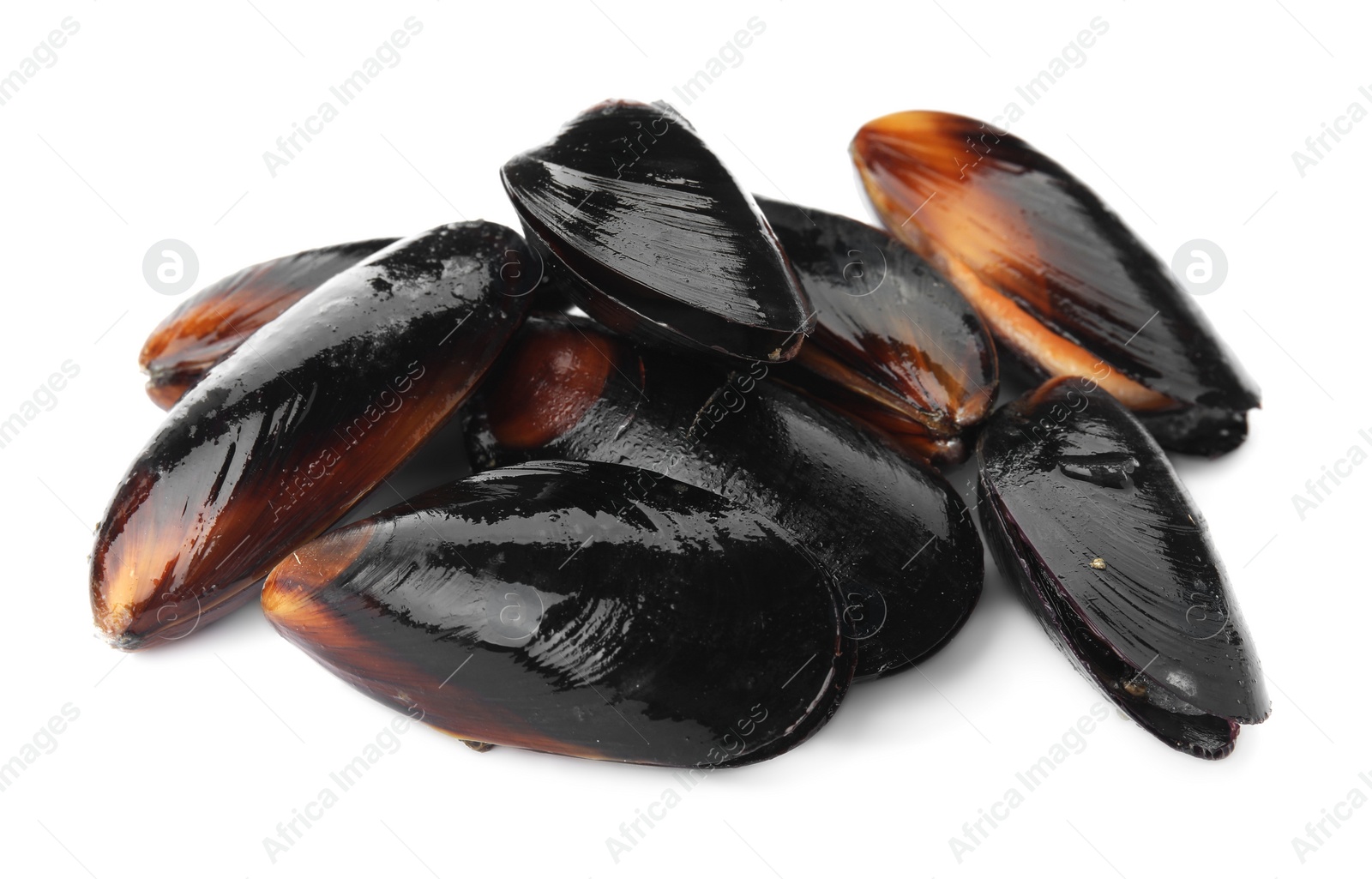 Photo of Heap of raw mussels in shells on white background