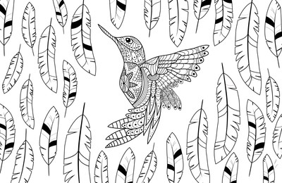 Illustration of Beautiful bird and feathers on white background, illustration. Coloring page