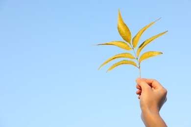 Photo of Woman holding twig with yellow leaves against blue sky, closeup. Space for text