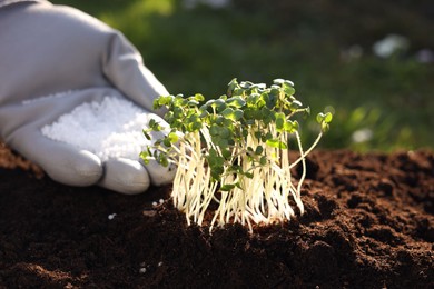 Photo of Man fertilizing soil with growing young microgreens outdoors, selective focus