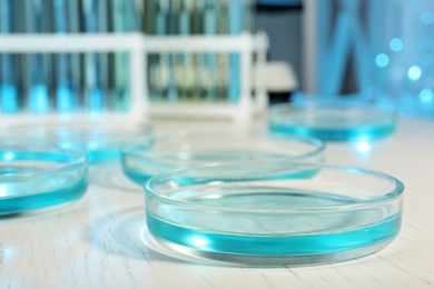 Photo of Petri dish with liquid on table in laboratory. Chemical analysis