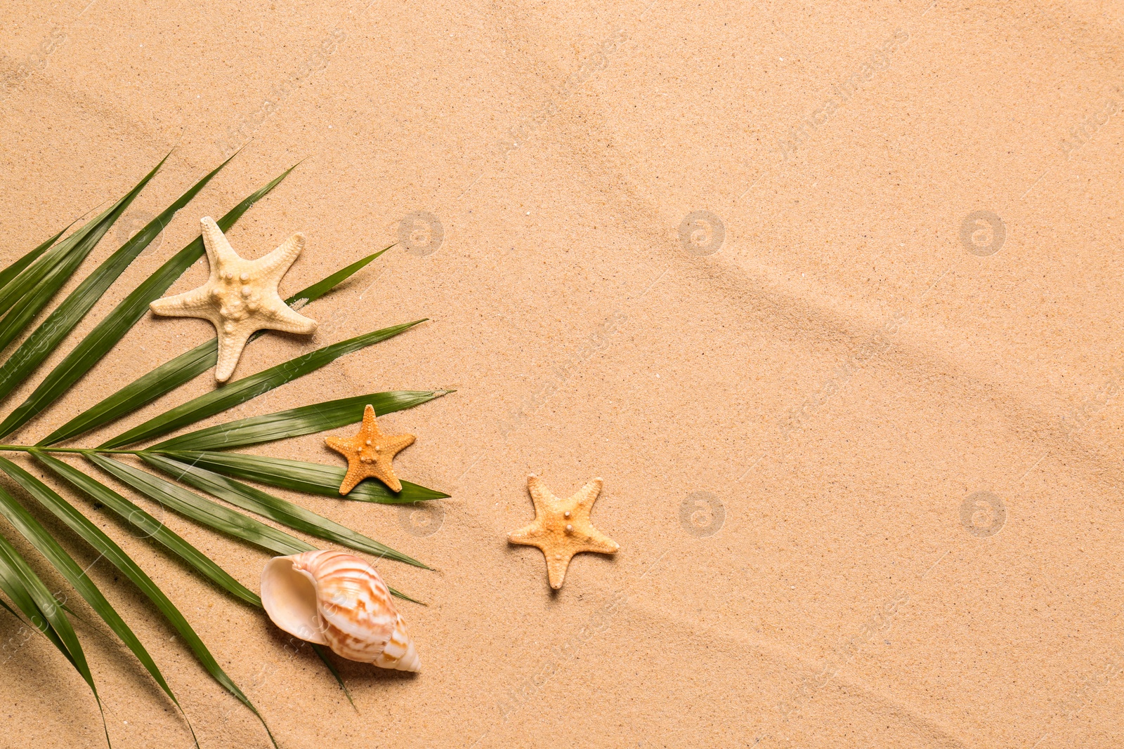 Photo of Palm leaf, starfishes, seashell and space for text on beach sand, flat lay. Summer vacation