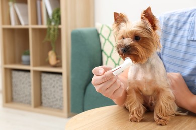Photo of Man brushing dog's teeth on wooden table at home, closeup. Space for text