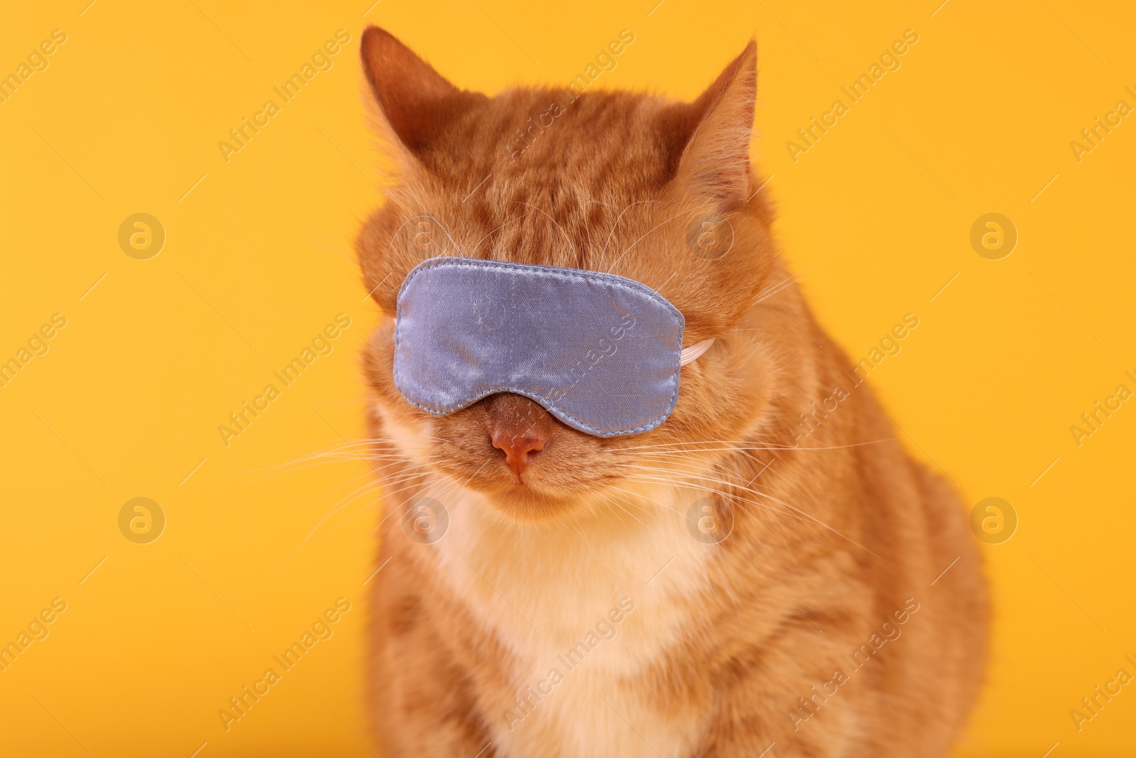 Photo of Cute ginger cat with sleep mask on orange background